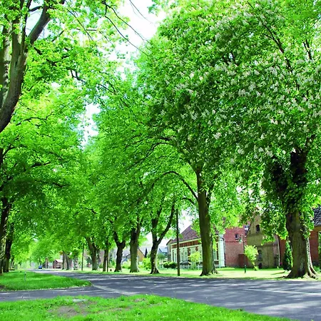 In Am Mueritzsee 公寓 Buchholz (Mecklenburg-Vorpommern)